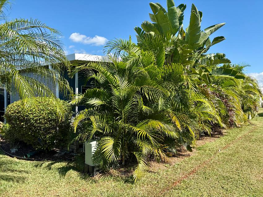 968 Roseau E a Venice, FL Mobile or Manufactured Home for Sale