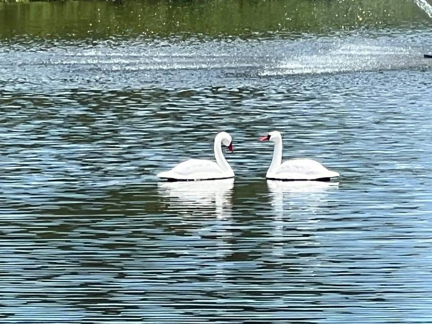 9833 Sucia Circle a Parrish, FL Mobile or Manufactured Home for Sale