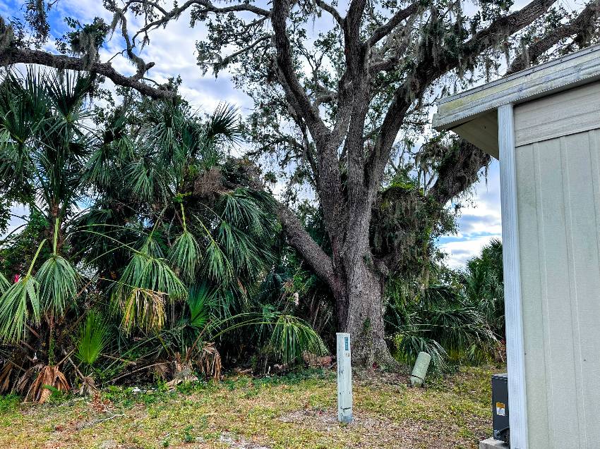 403 Peppertree Ln a Ellenton, FL Mobile or Manufactured Home for Sale