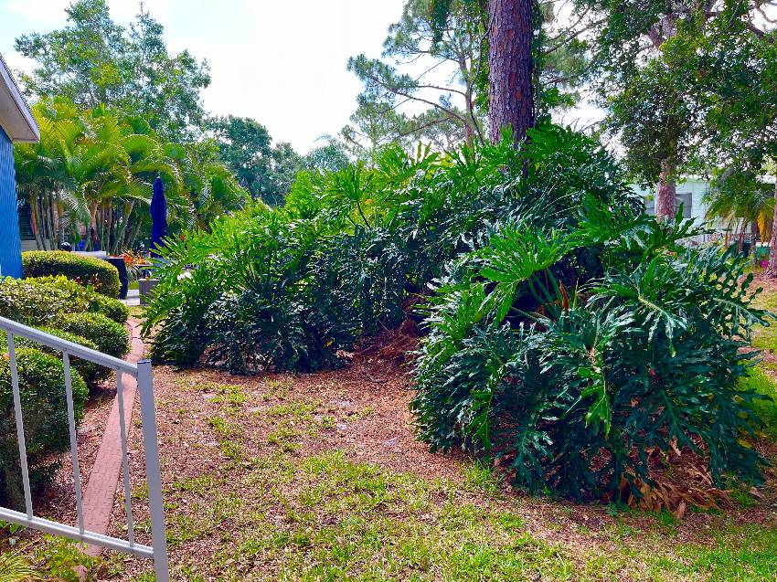 1203 N Indies Circle a Venice, FL Mobile or Manufactured Home for Sale