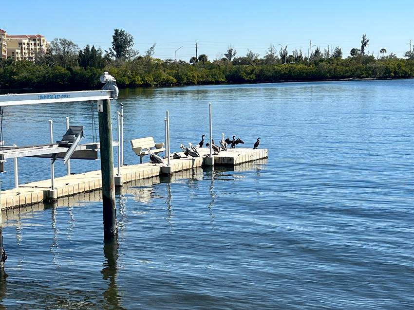 327 3rd St Dr W #11 a Palmetto, FL Mobile or Manufactured Home for Sale